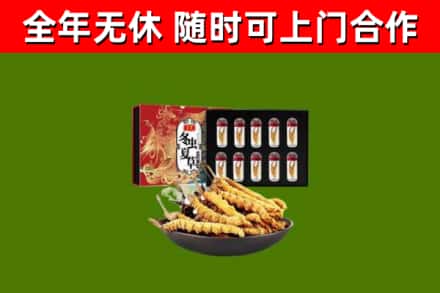 亳州回收冬虫夏草价格
