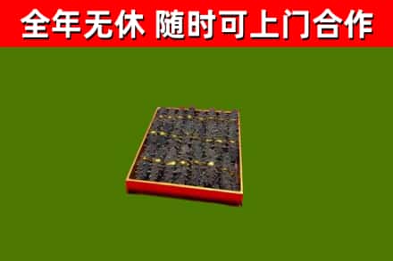 亳州回收海参